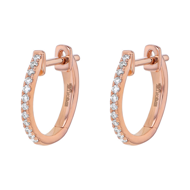 Huggie Earrings